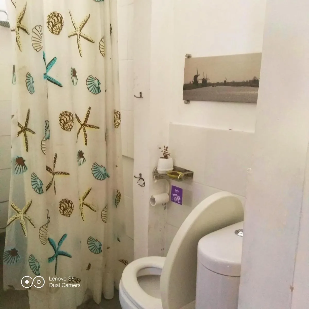 Image 4 of PM Room
